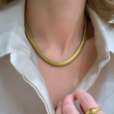 Geneva Chain